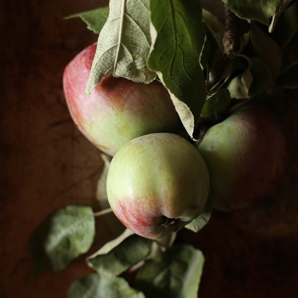 Salted Apple Caramel Spoon Preserves Fashion