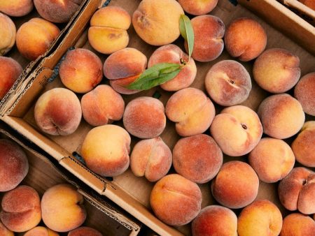 Limited Edition Farmette Peach Spoon Preserves Online Hot Sale