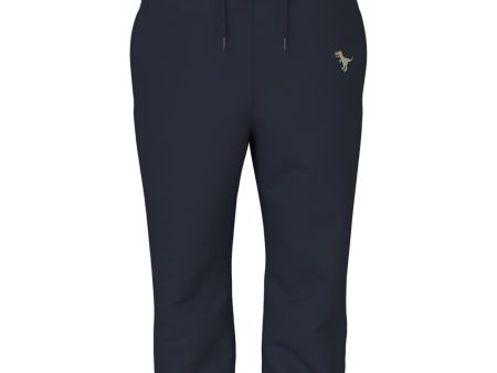 Name It Dark Sapphire Dino Vallen Regular Sweatpants Online