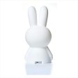 Mr. Maria Miffy First Light White For Sale