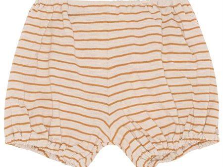 Monsieur Mini Slim Stripes Bloomers Offwhite Toffee Online