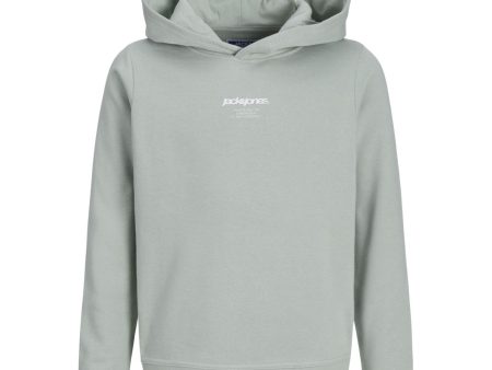 Jack & Jones Junior Aqua Gray Tarmac Camo Back Print Hoodie For Sale